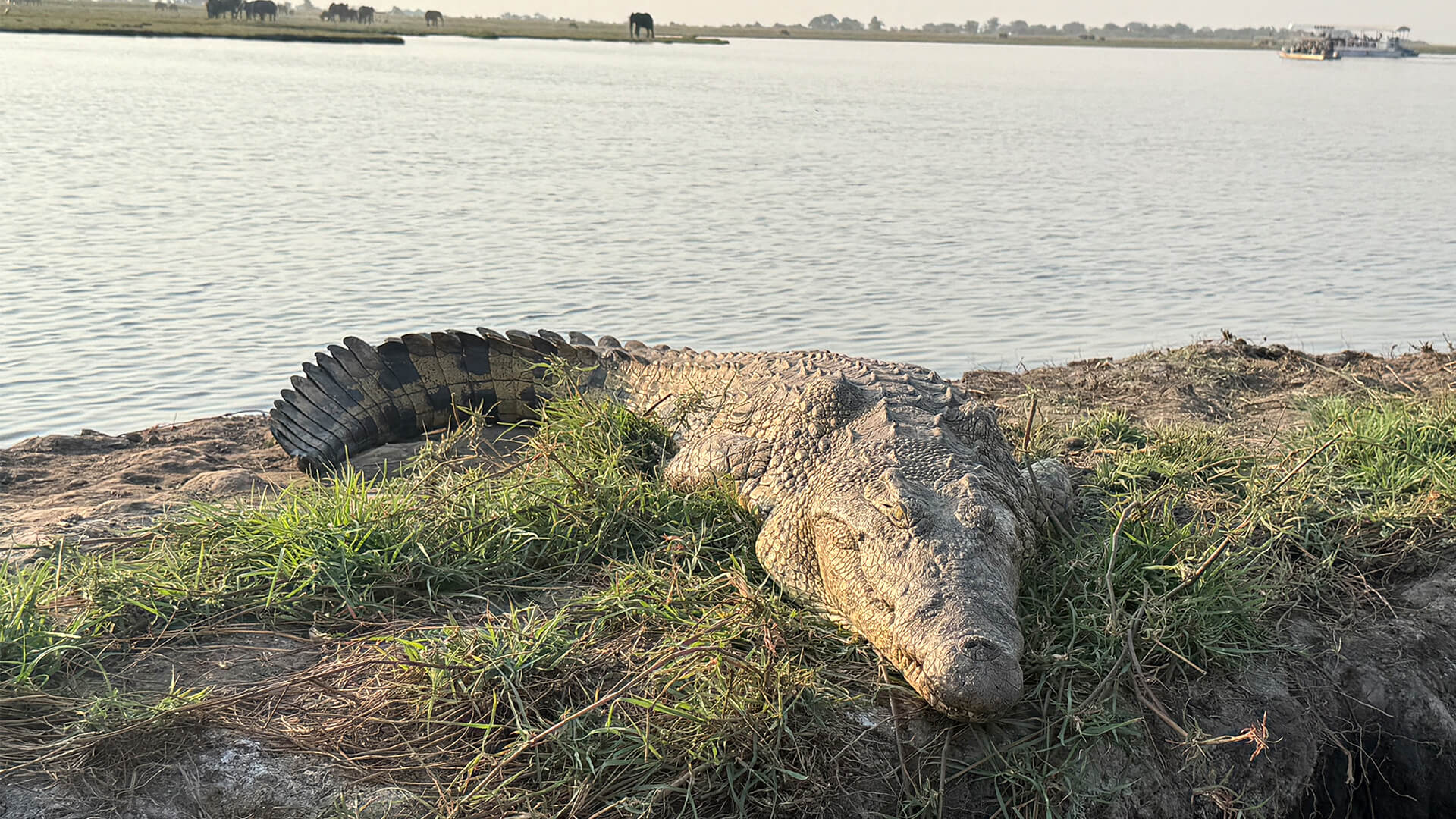 Caprivi Hero